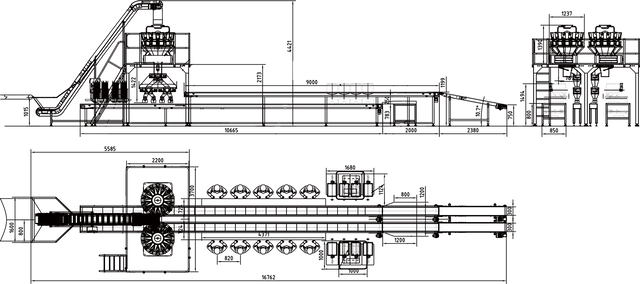نظام وزن جراد البحر والتعبئة في الكرتون